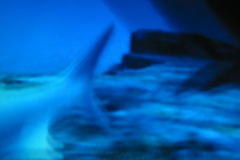 144-4457_img
