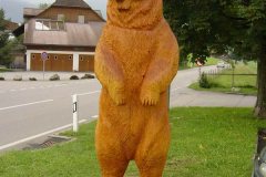 dsc00025